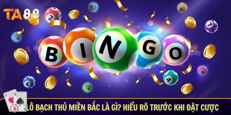 Lô bạch thủ miền bắc - Bí kíp soi lô mang lại tỉ lệ thắng lớn Lô bạch thủ miền bắc là gì? Hiểu rõ trước khi đặt cược