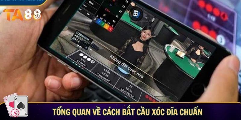 Cách bắt cầu xóc đĩa chuẩn xác – Bí quyết làm chủ mọi cuộc chơi Tổng quan về cách bắt cầu xóc đĩa chuẩn